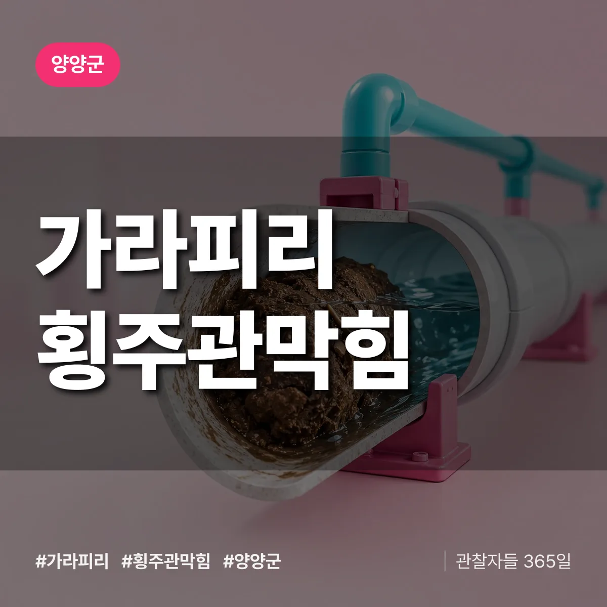 가라피리 횡주관막힘 배너