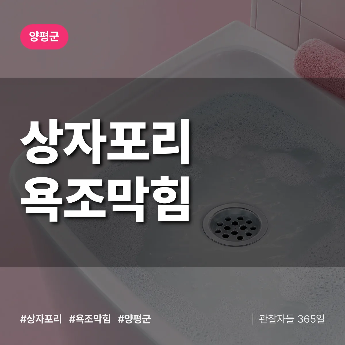 상자포리 욕조막힘 배너