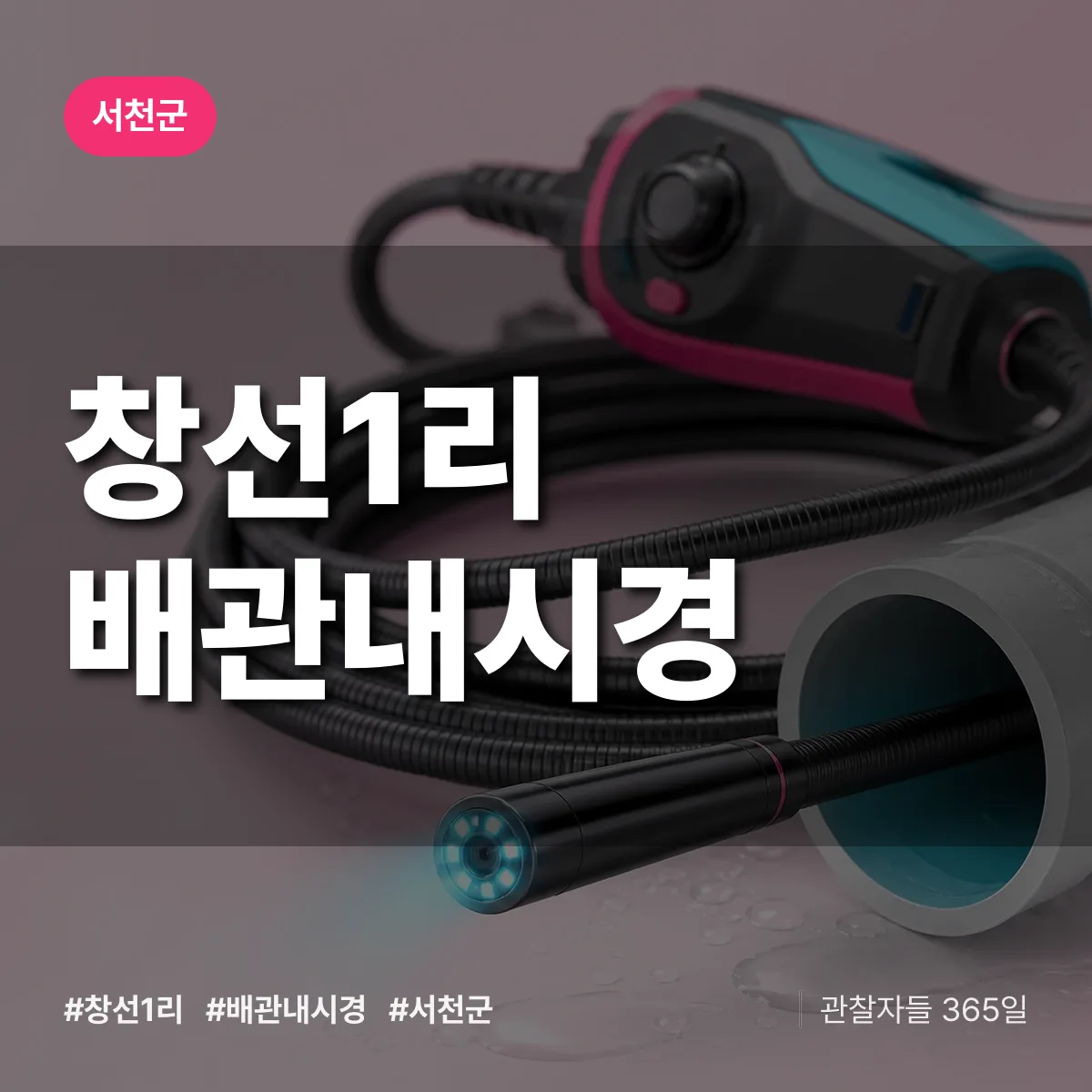 창선1리 배관내시경 배너
