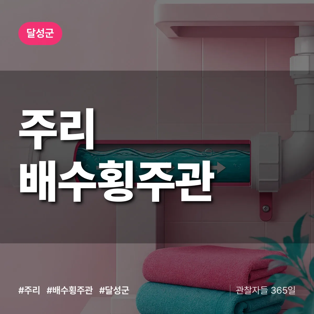 주리 배수횡주관 배너