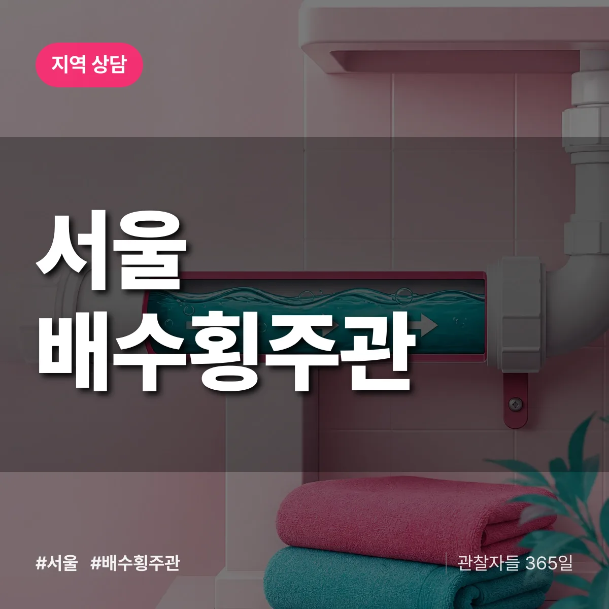 서울 배수횡주관 배너