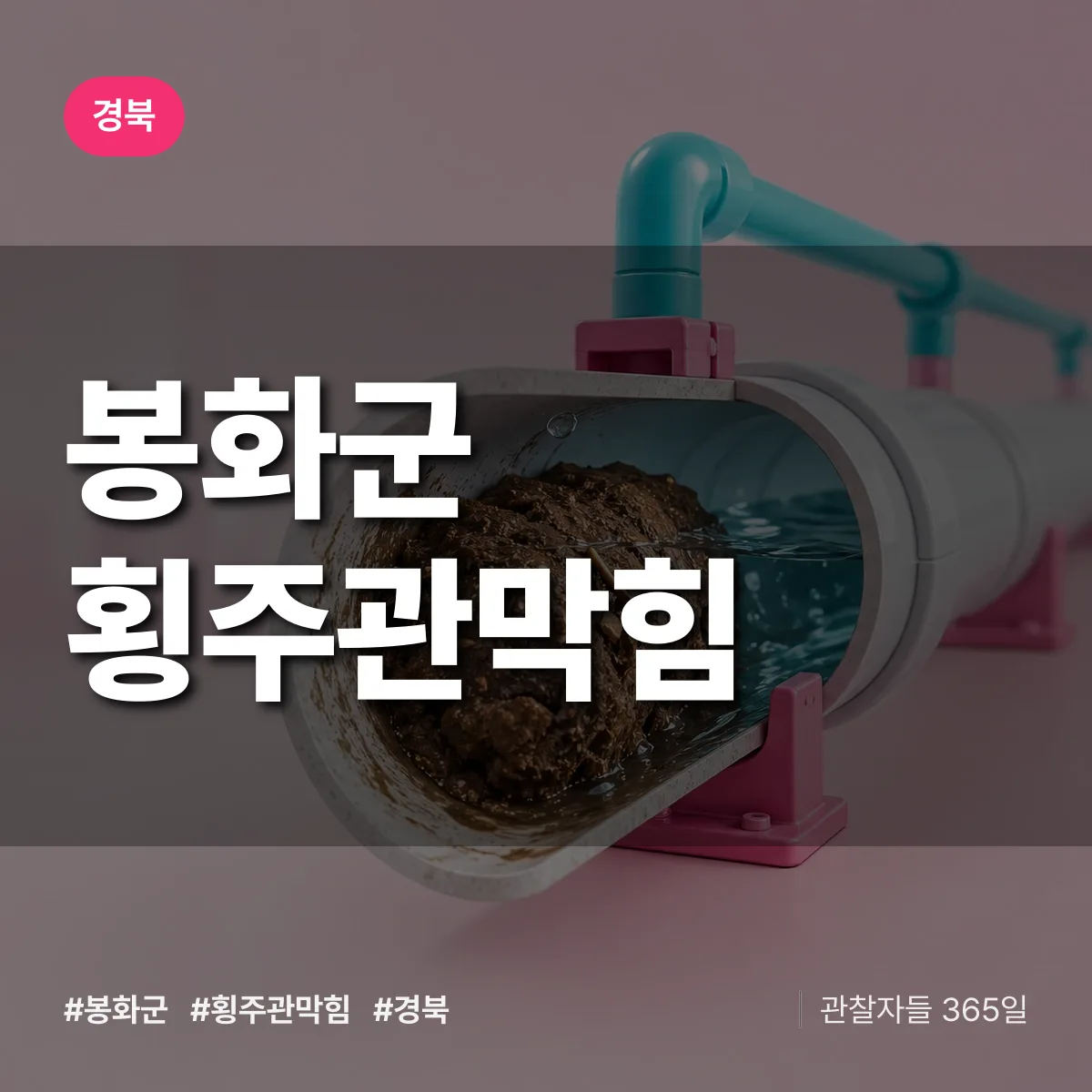 경북 봉화군 횡주관막힘 상담 배너