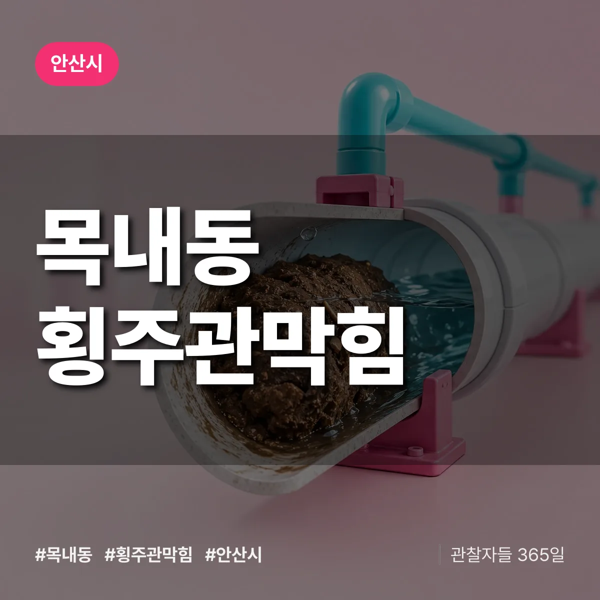 안산시 목내동 횡주관막힘 상담 배너