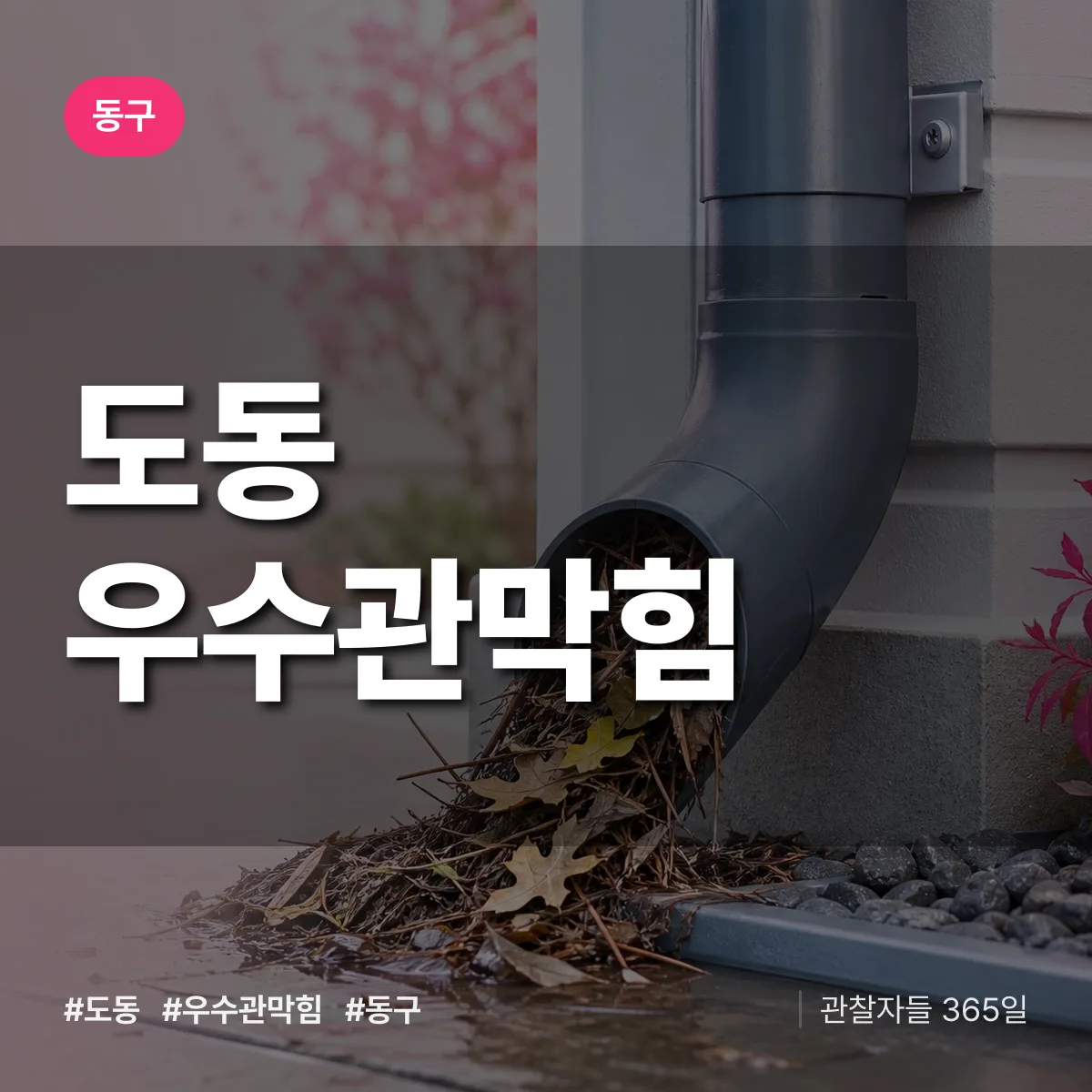 동구 도동 우수관막힘 상담 배너