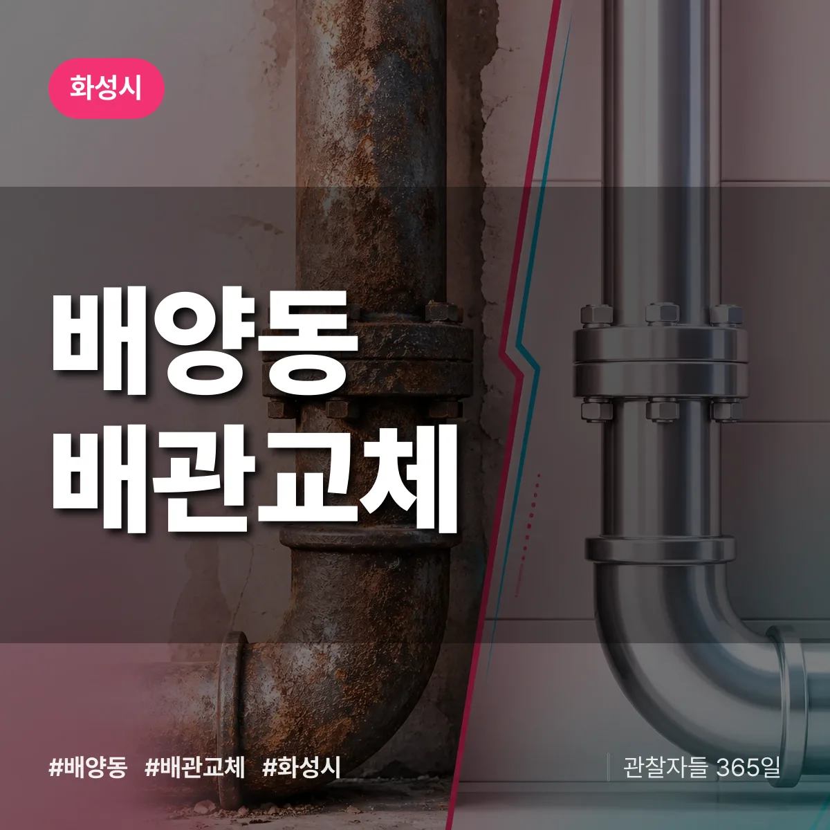 배양동 배관 교체 배너