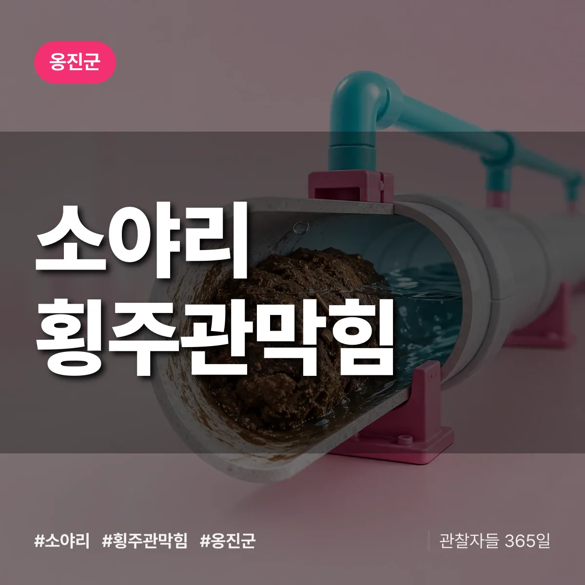 소야리 횡주관막힘 배너