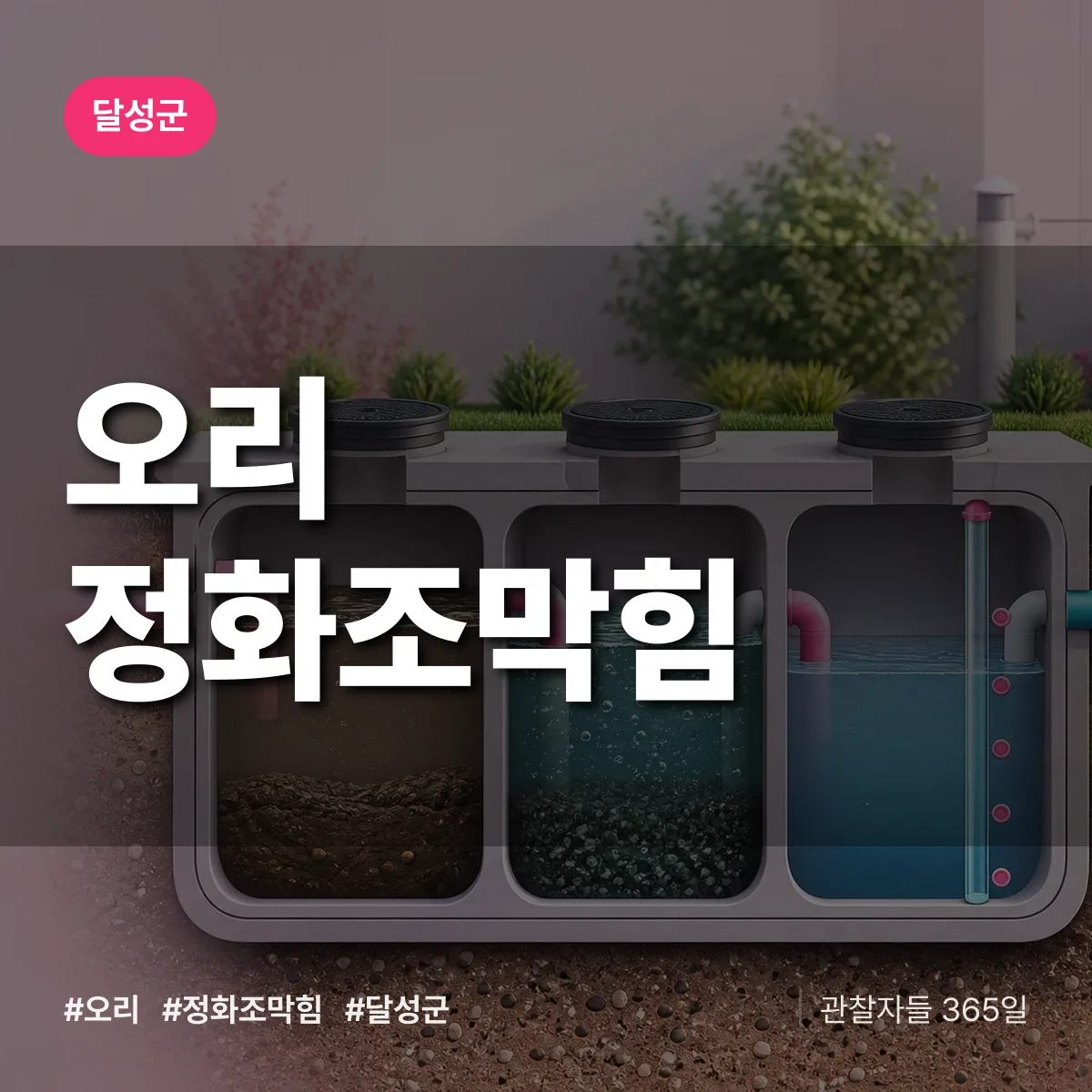 대구 달성군 오리 정화조막힘 배너