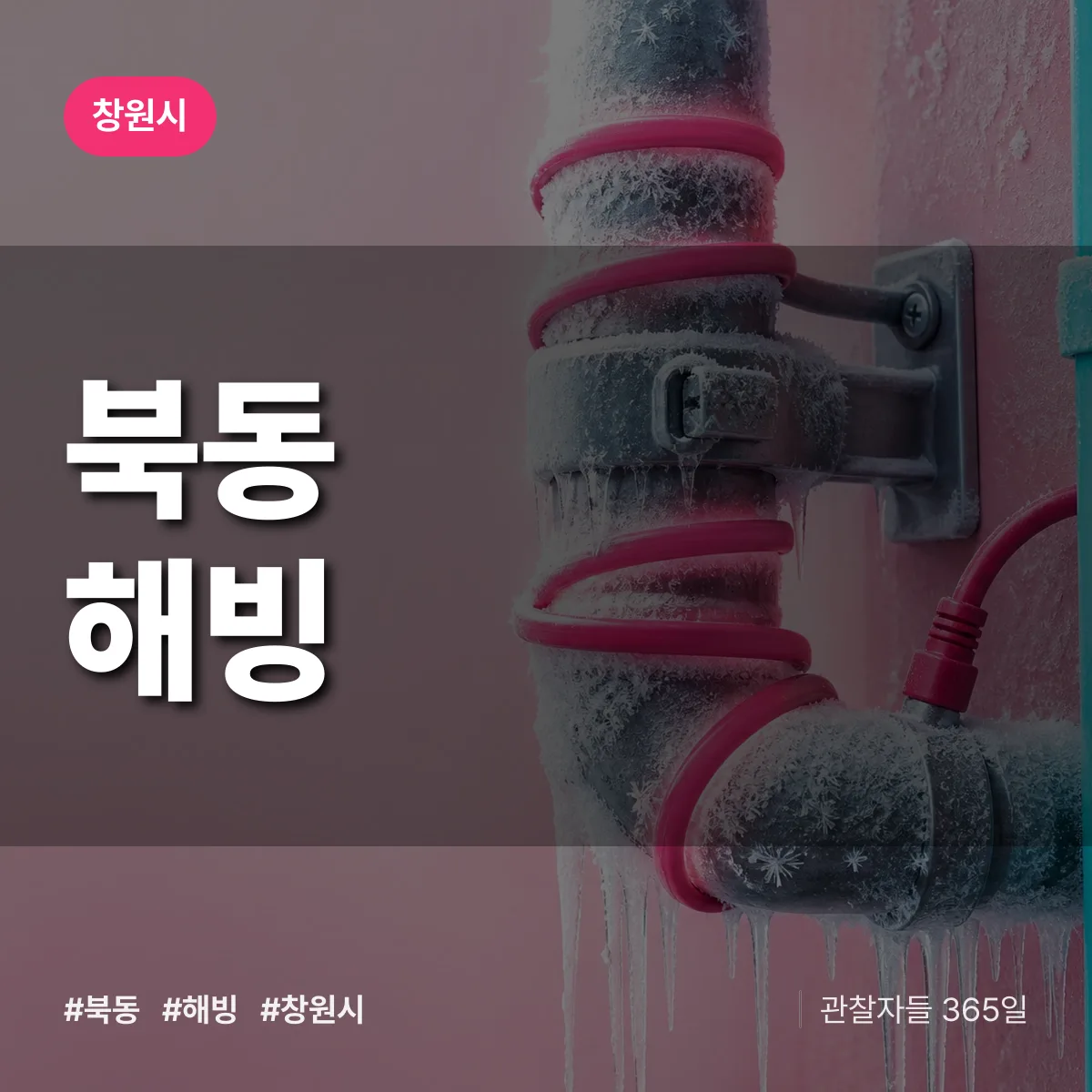 북동 해빙 배너