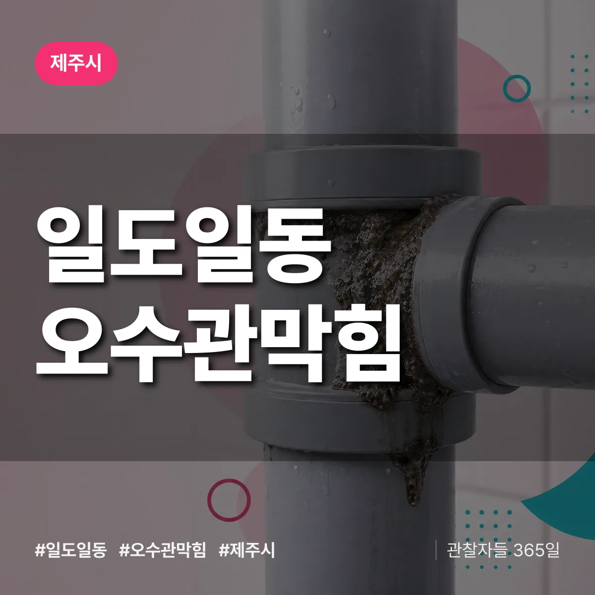 일도일동 오수관막힘 배너