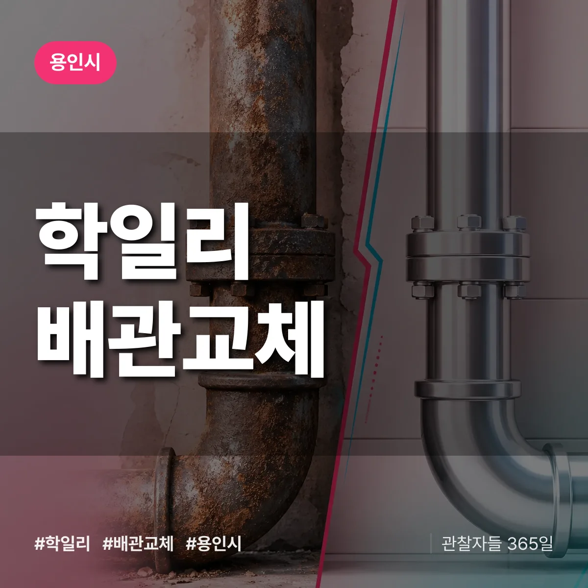 학일리 배관 교체 배너