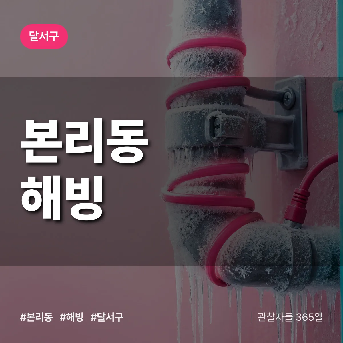 본리동 해빙 배너