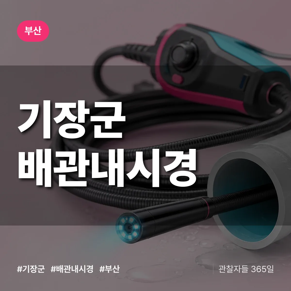 부산 기장군 배관내시경 배너