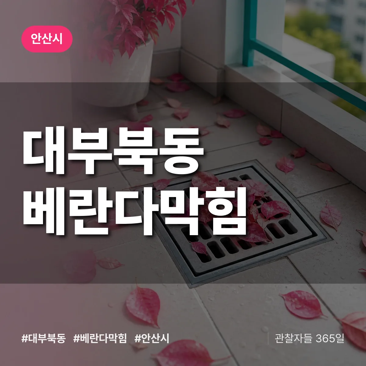대부북동 베란다막힘 배너