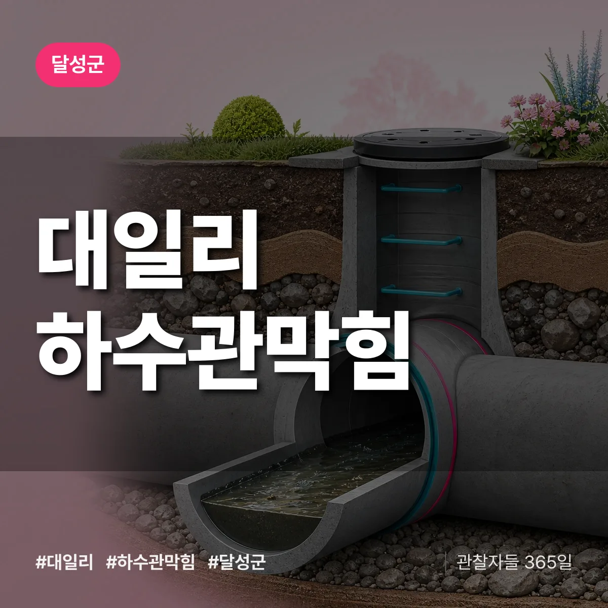 대일리 하수관막힘 배너