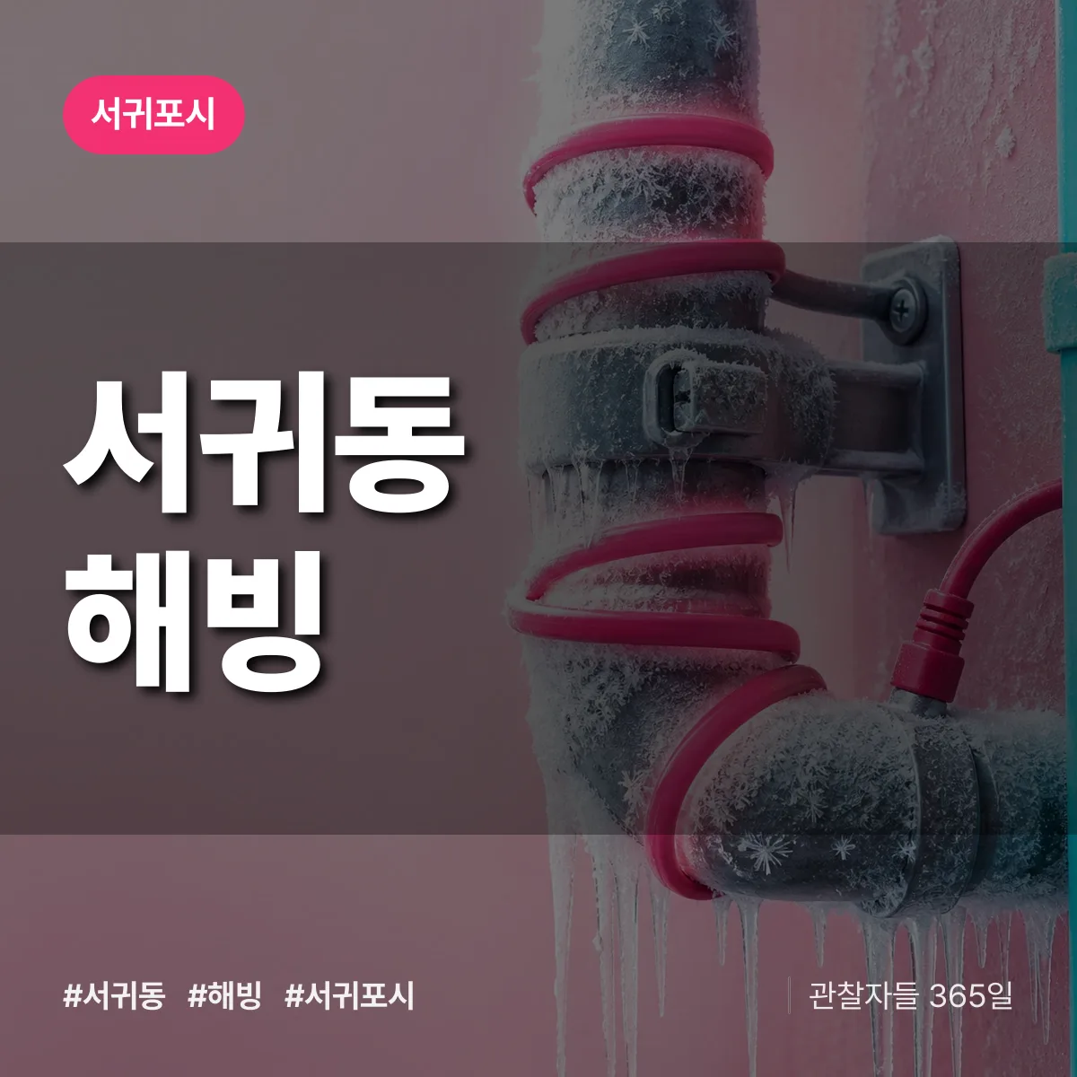 서귀동 해빙 배너