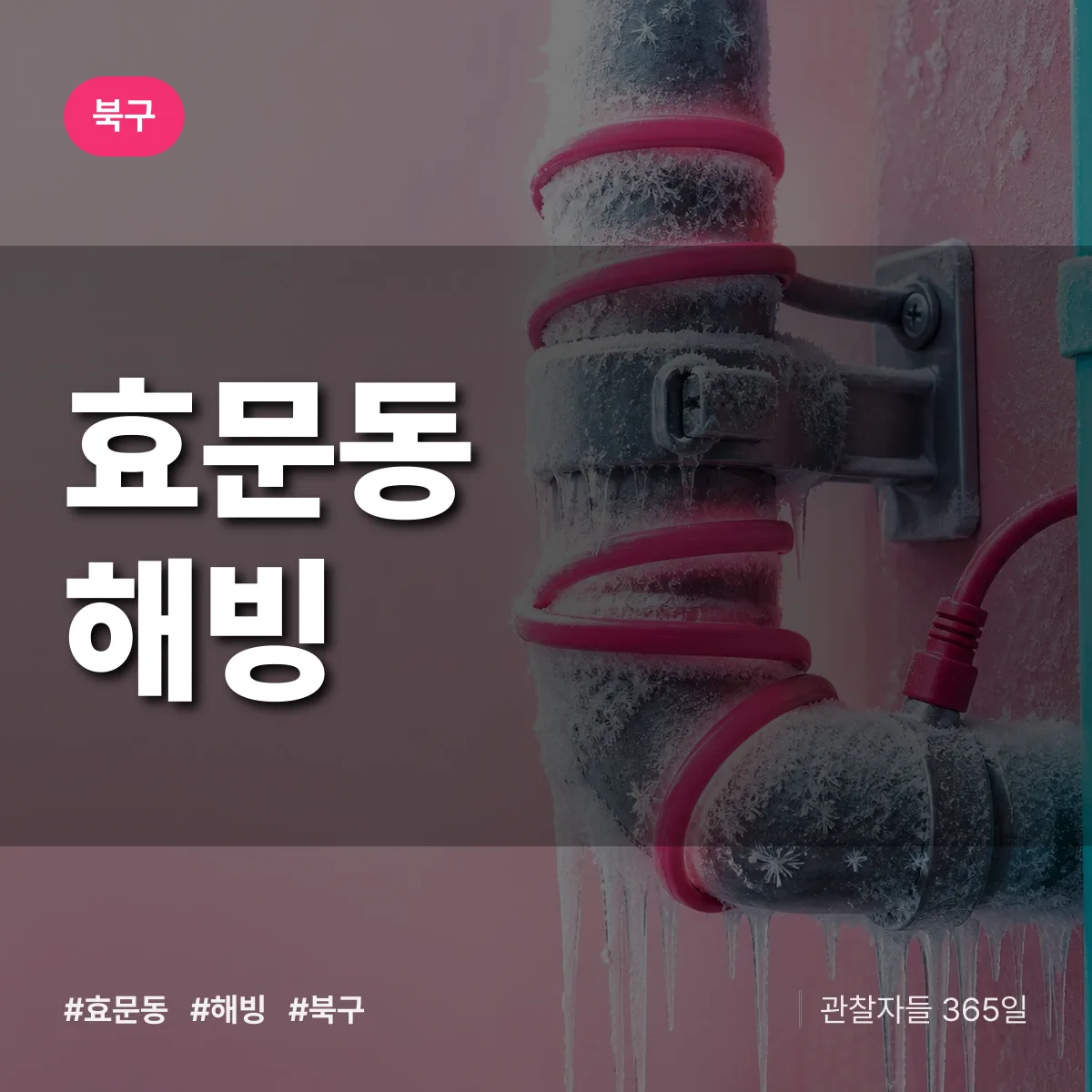 효문동 해빙 배너