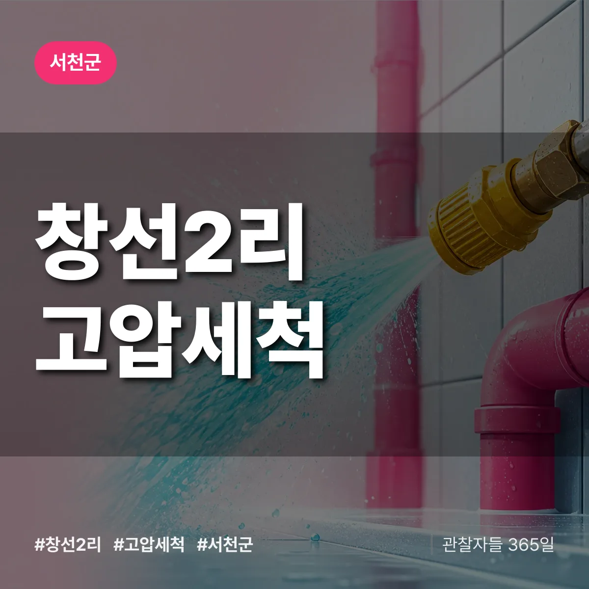 창선2리 고압세척 배너