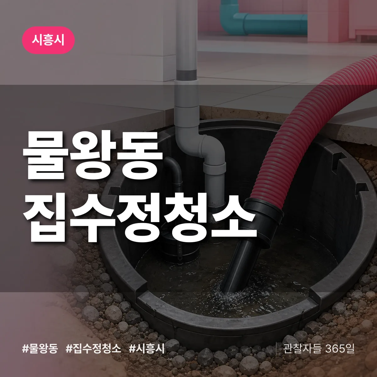 물왕동 집수정청소 배너