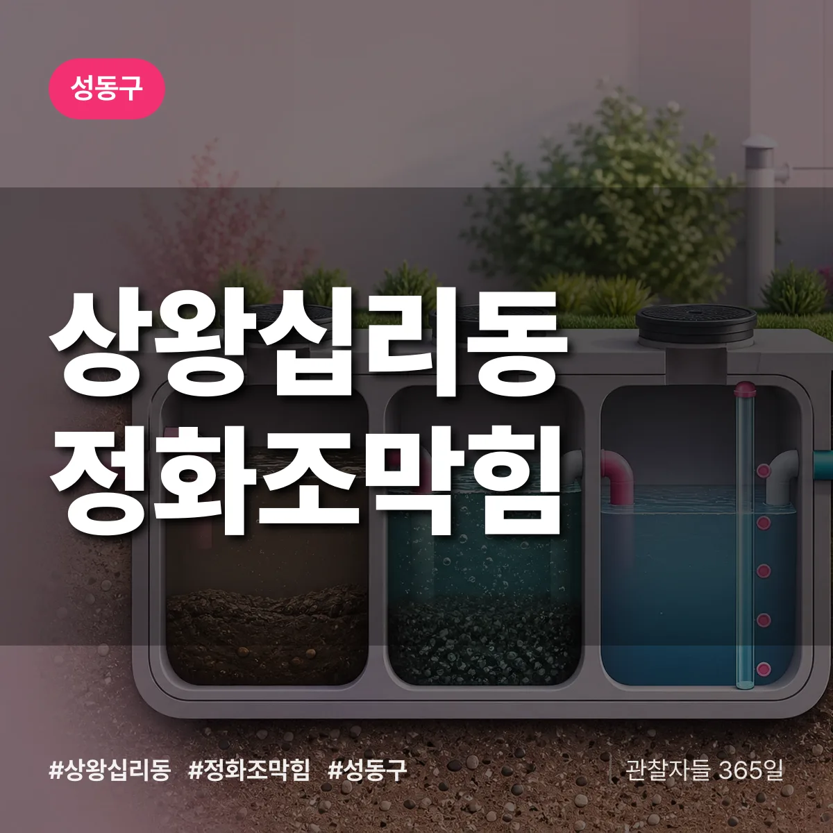 상왕십리동 정화조막힘 배너