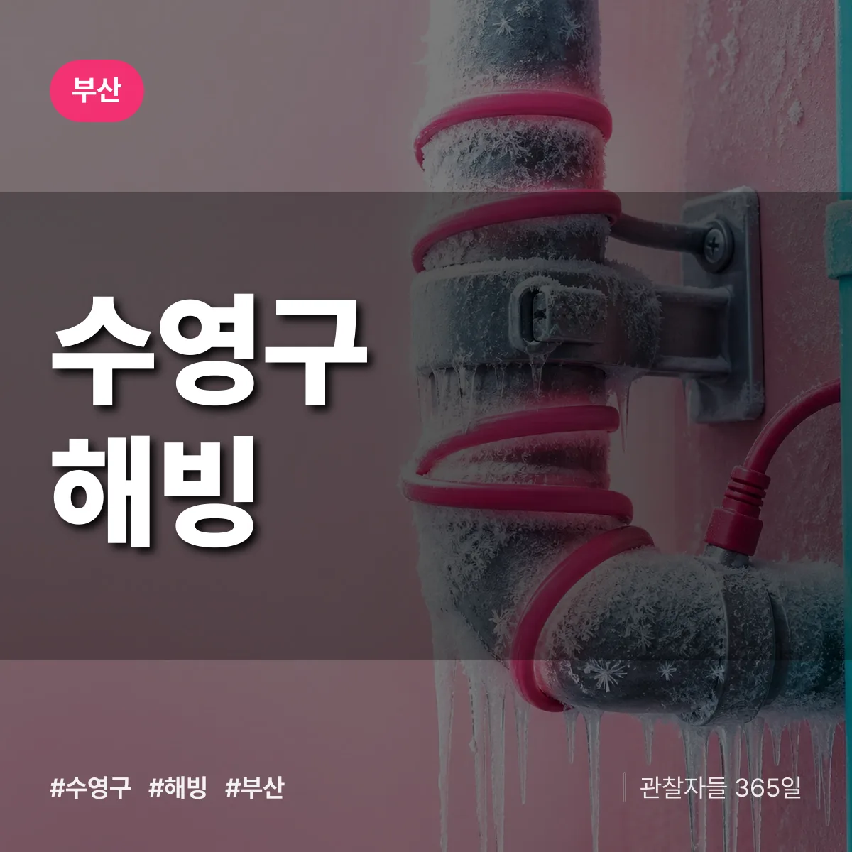 부산 수영구 해빙 배너