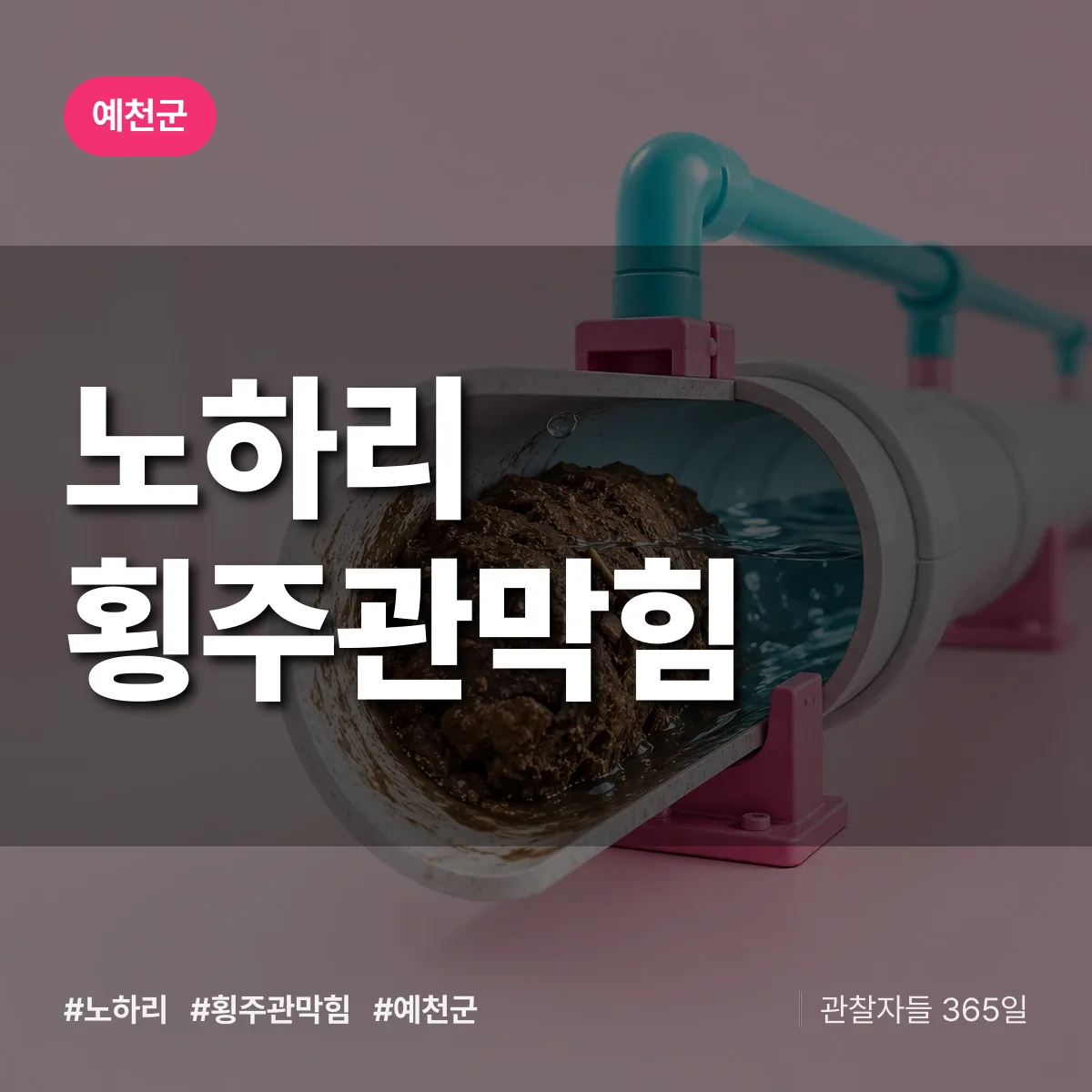 노하리 횡주관막힘 배너