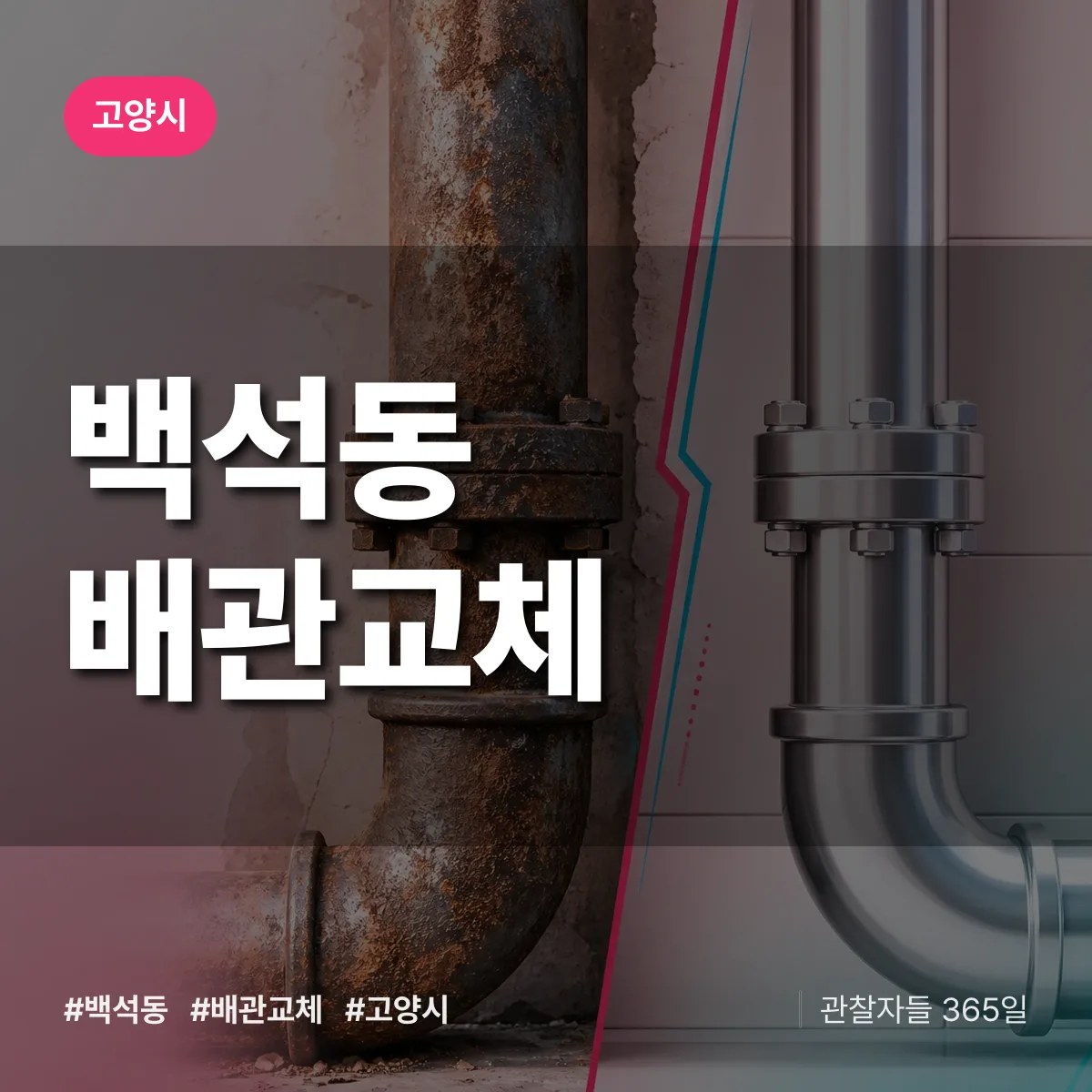 백석동 배관 교체 배너