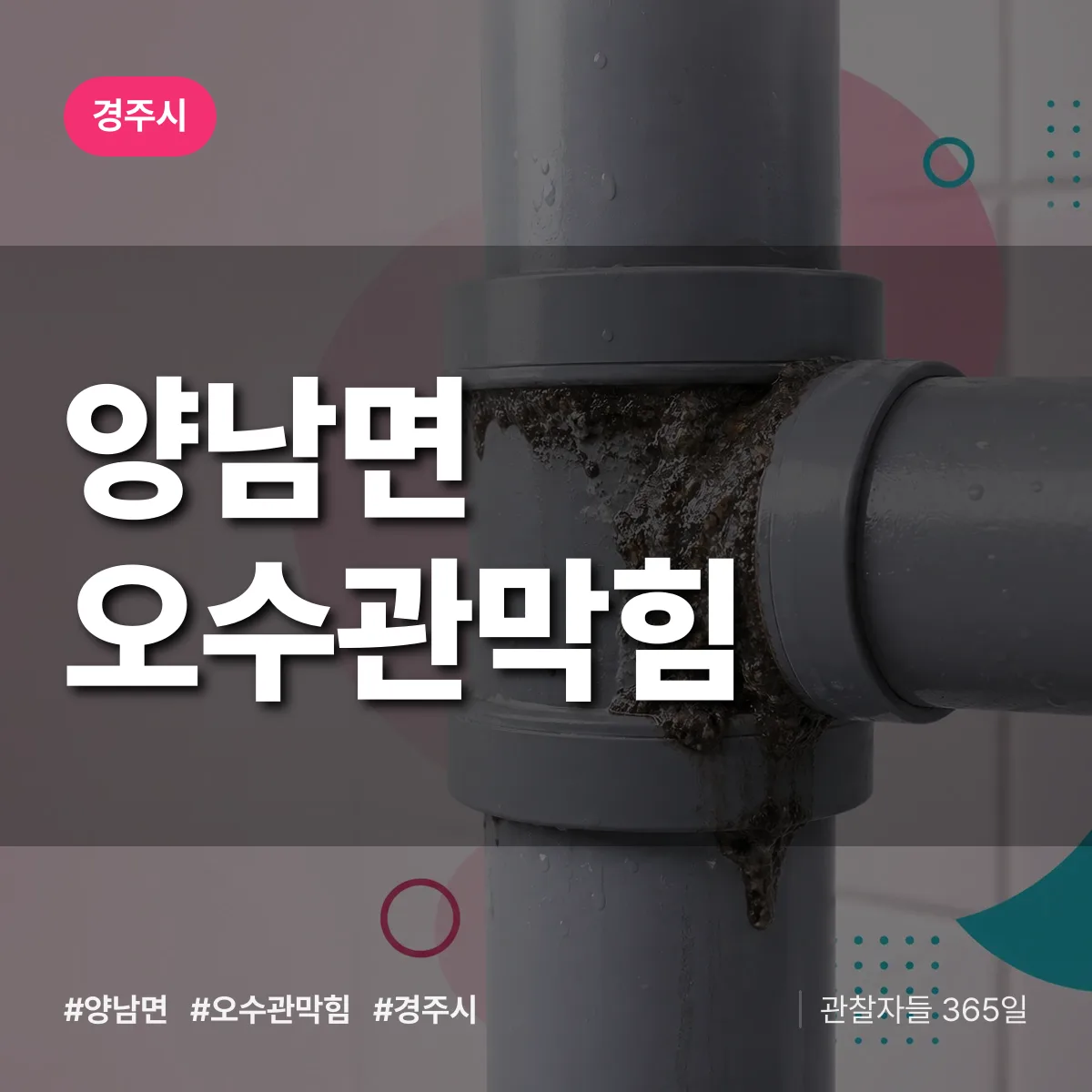 경북 경주시 양남면 오수관막힘 배너