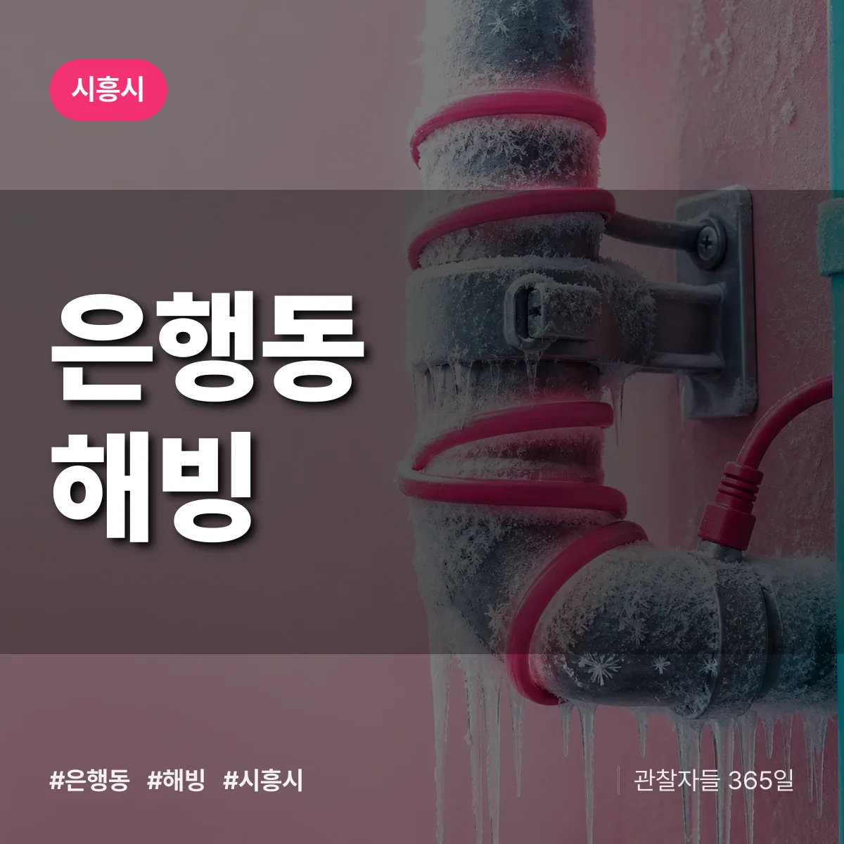 은행동 해빙 배너