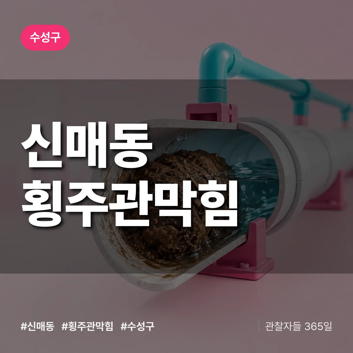수성구 신매동 횡주관막힘 상담 배너
