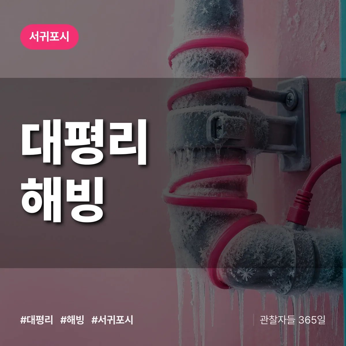 제주 서귀포시 대평리 해빙 배너