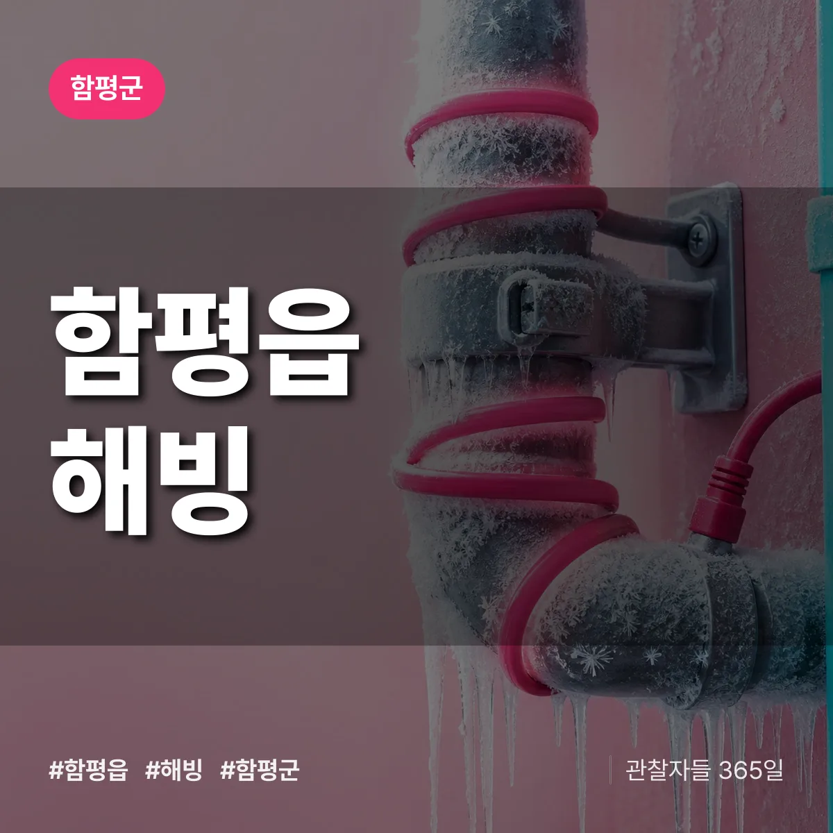 함평읍 해빙 배너