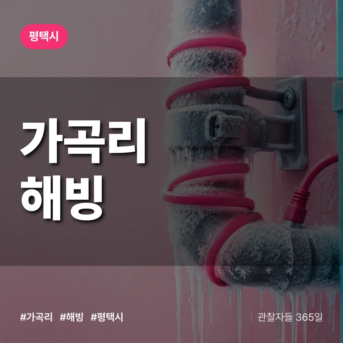 경기 평택시 가곡리 해빙 배너