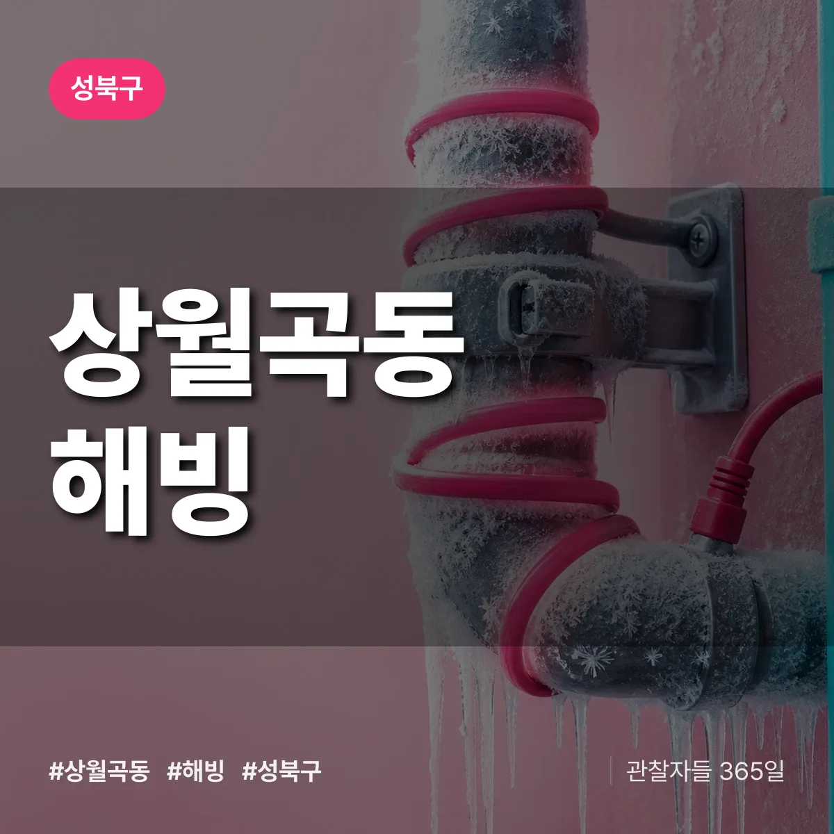 상월곡동 해빙 배너