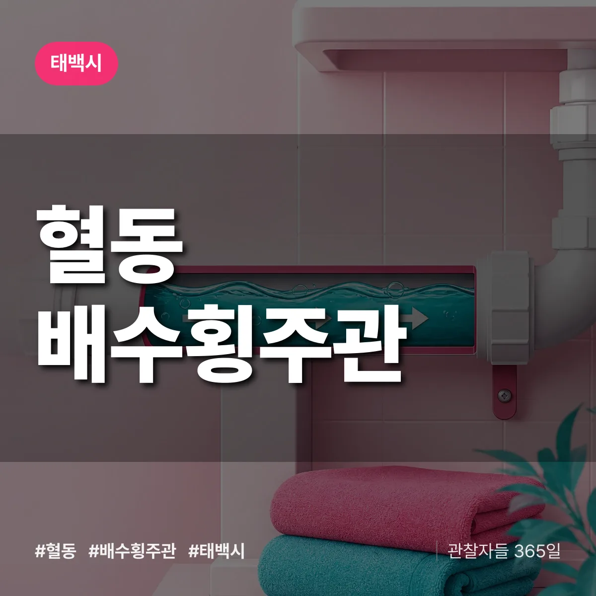혈동 배수횡주관 배너
