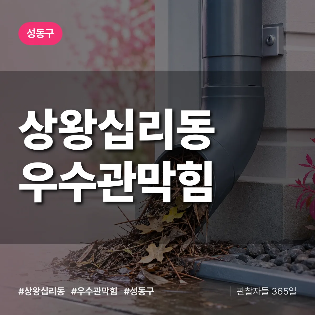 성동구 상왕십리동 우수관막힘 상담 배너