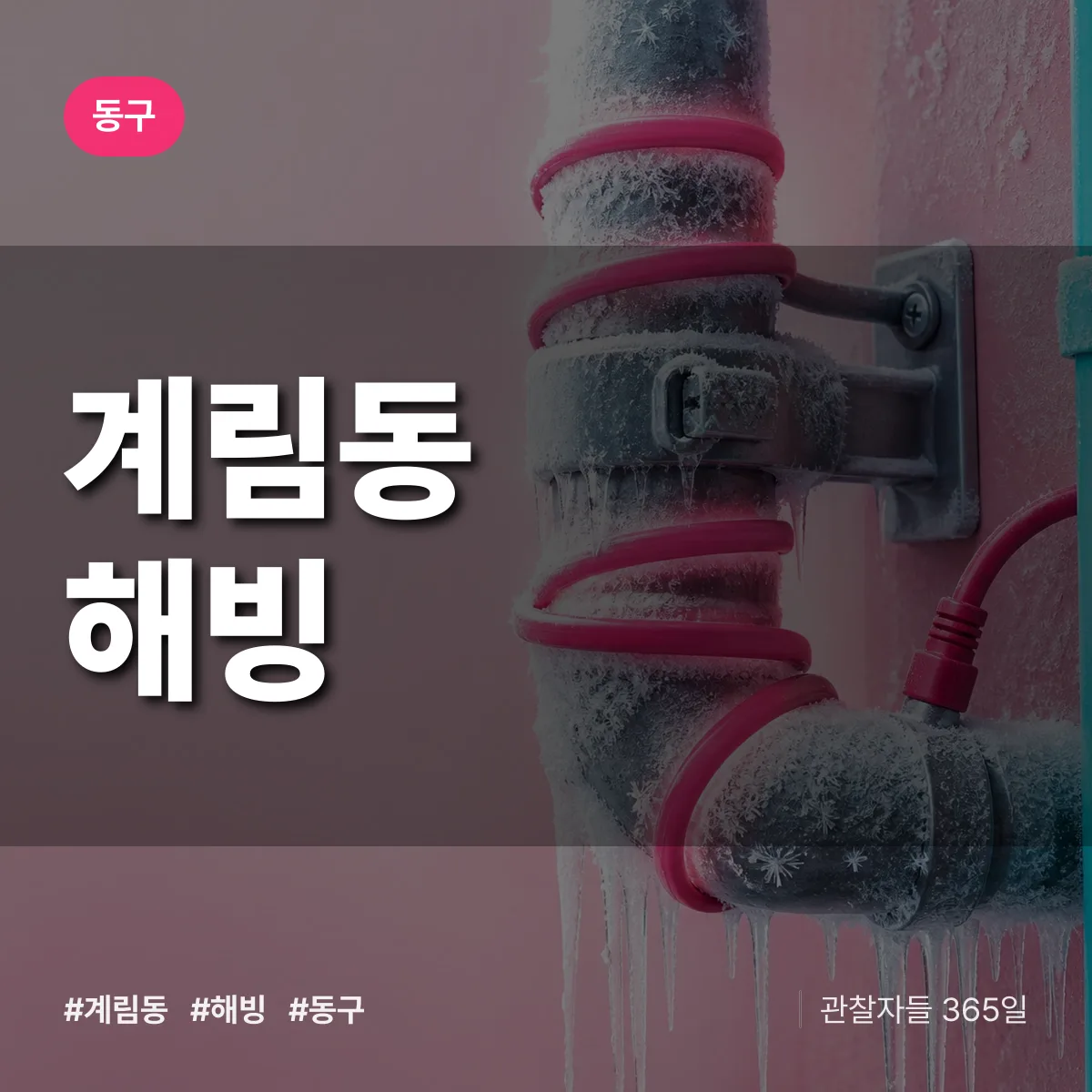 계림동 해빙 배너