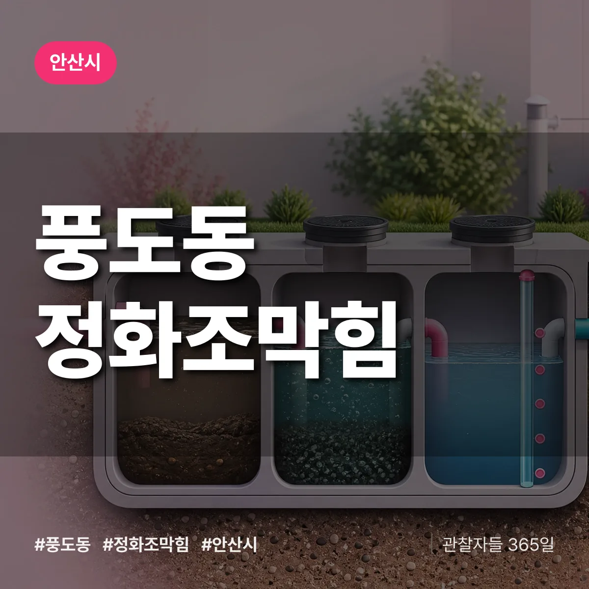 풍도동 정화조막힘 배너