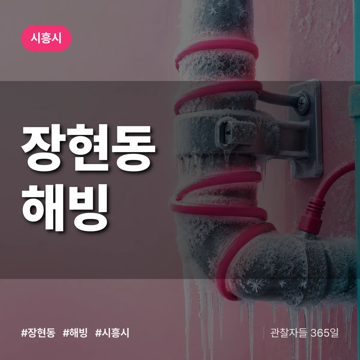 장현동 해빙 배너