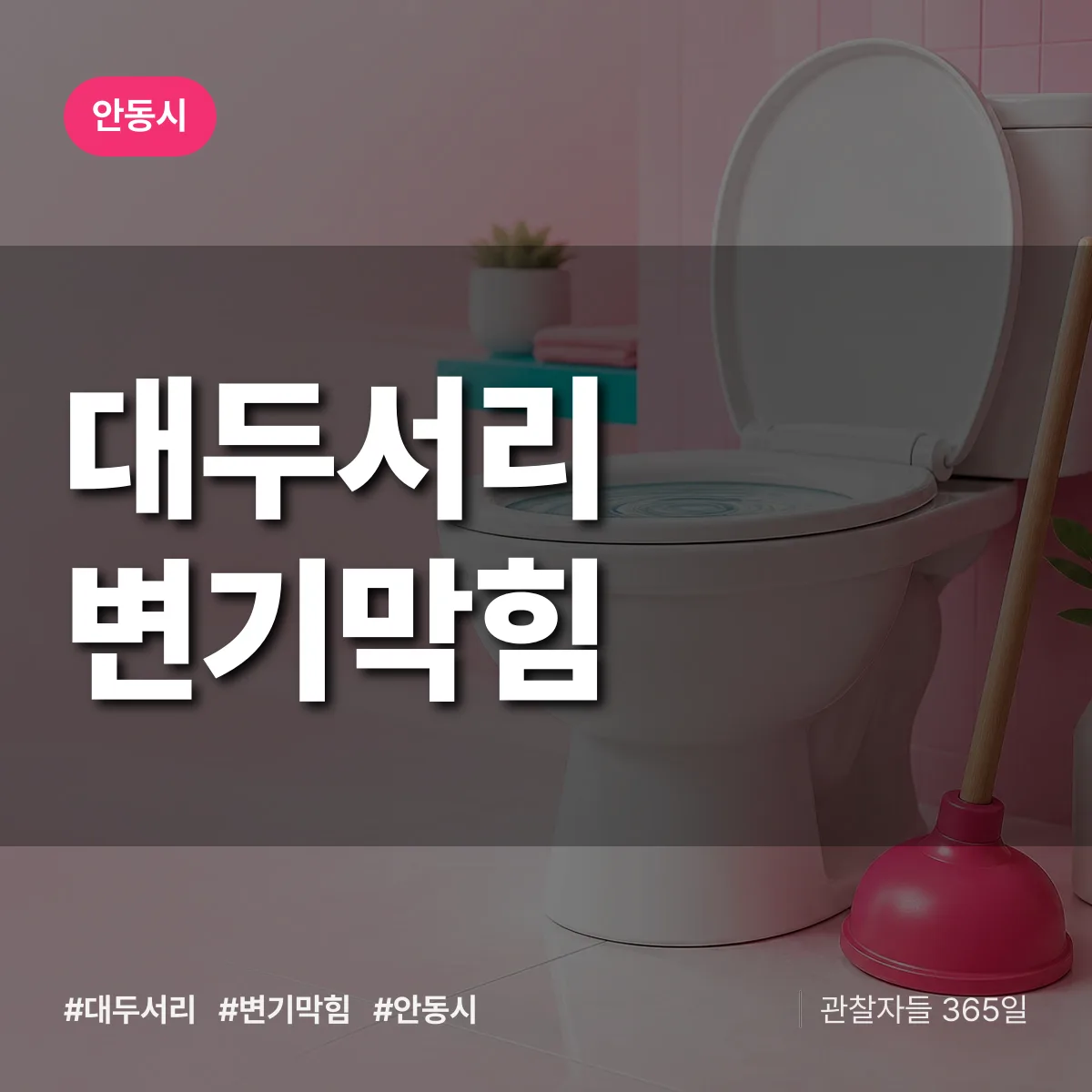 대두서리 변기막힘 배너