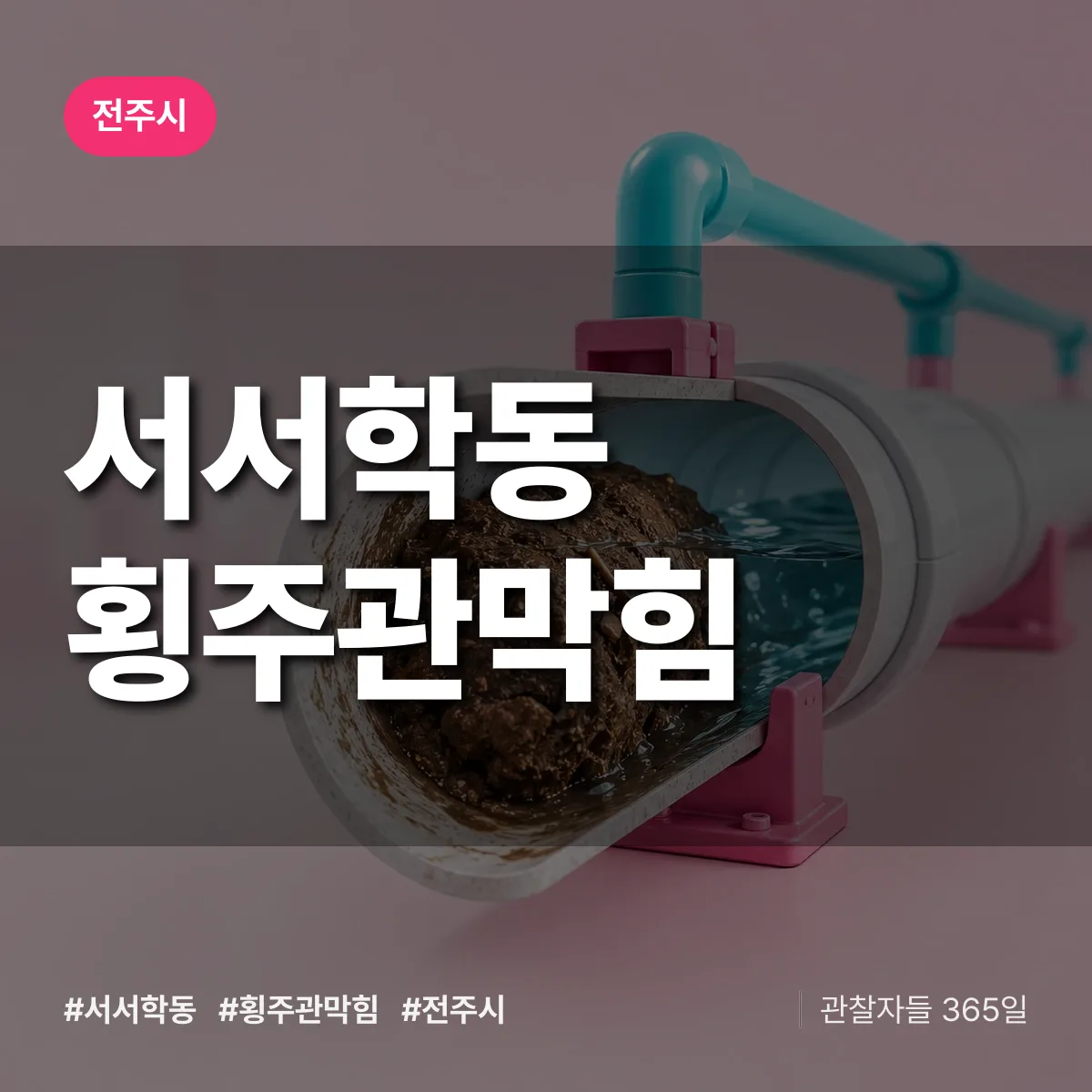 서서학동 횡주관막힘 배너