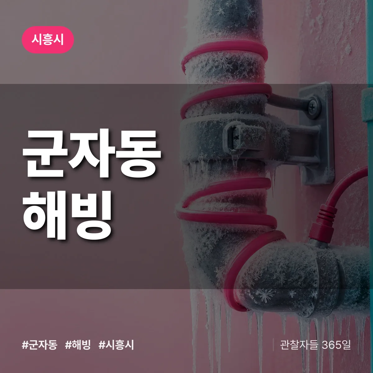 경기 시흥시 군자동 해빙 배너