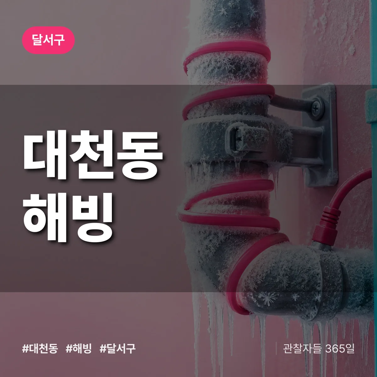 대천동 해빙 배너