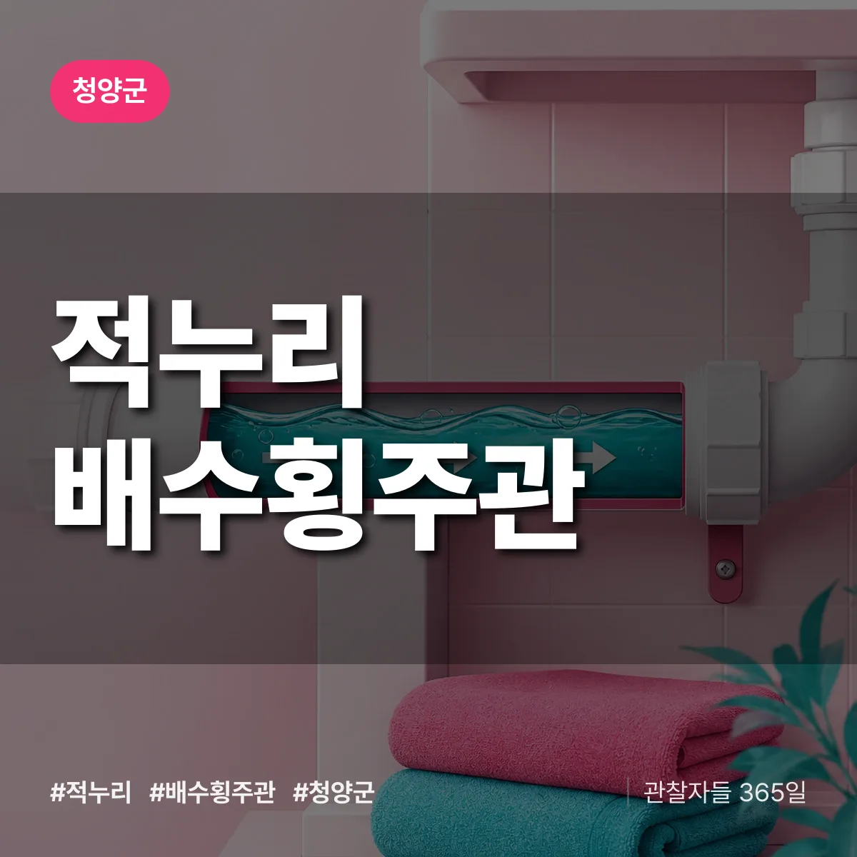 적누리 배수횡주관 배너