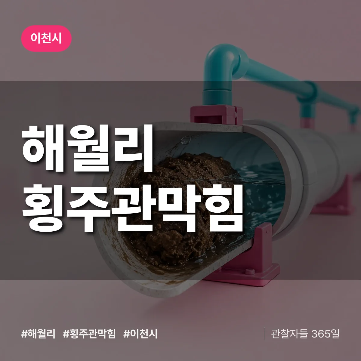 해월리 횡주관막힘 배너