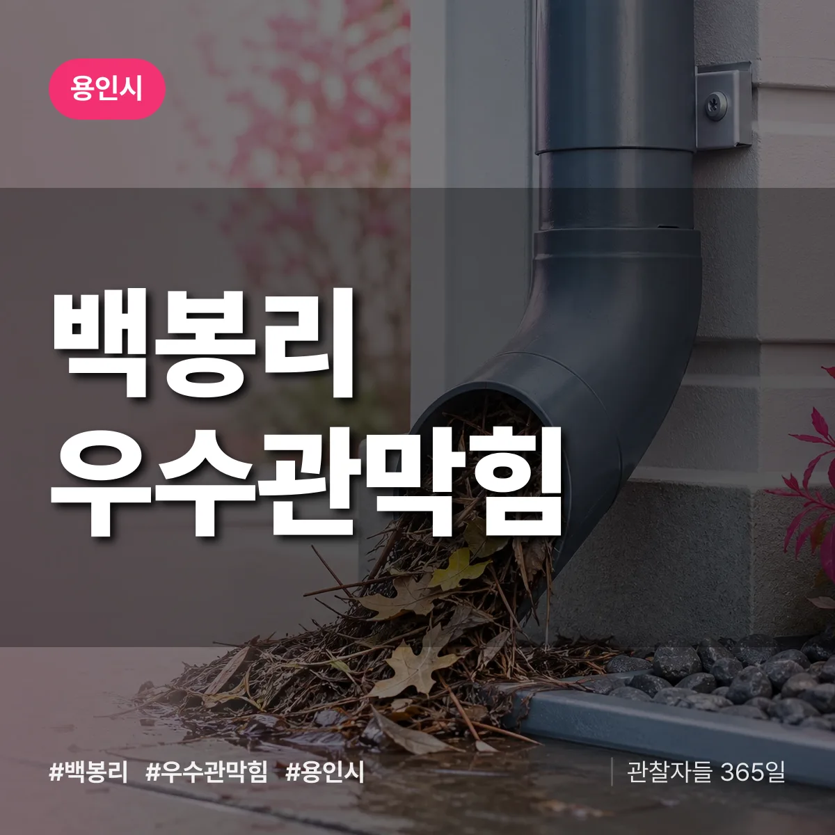 백봉리 우수관막힘 배너