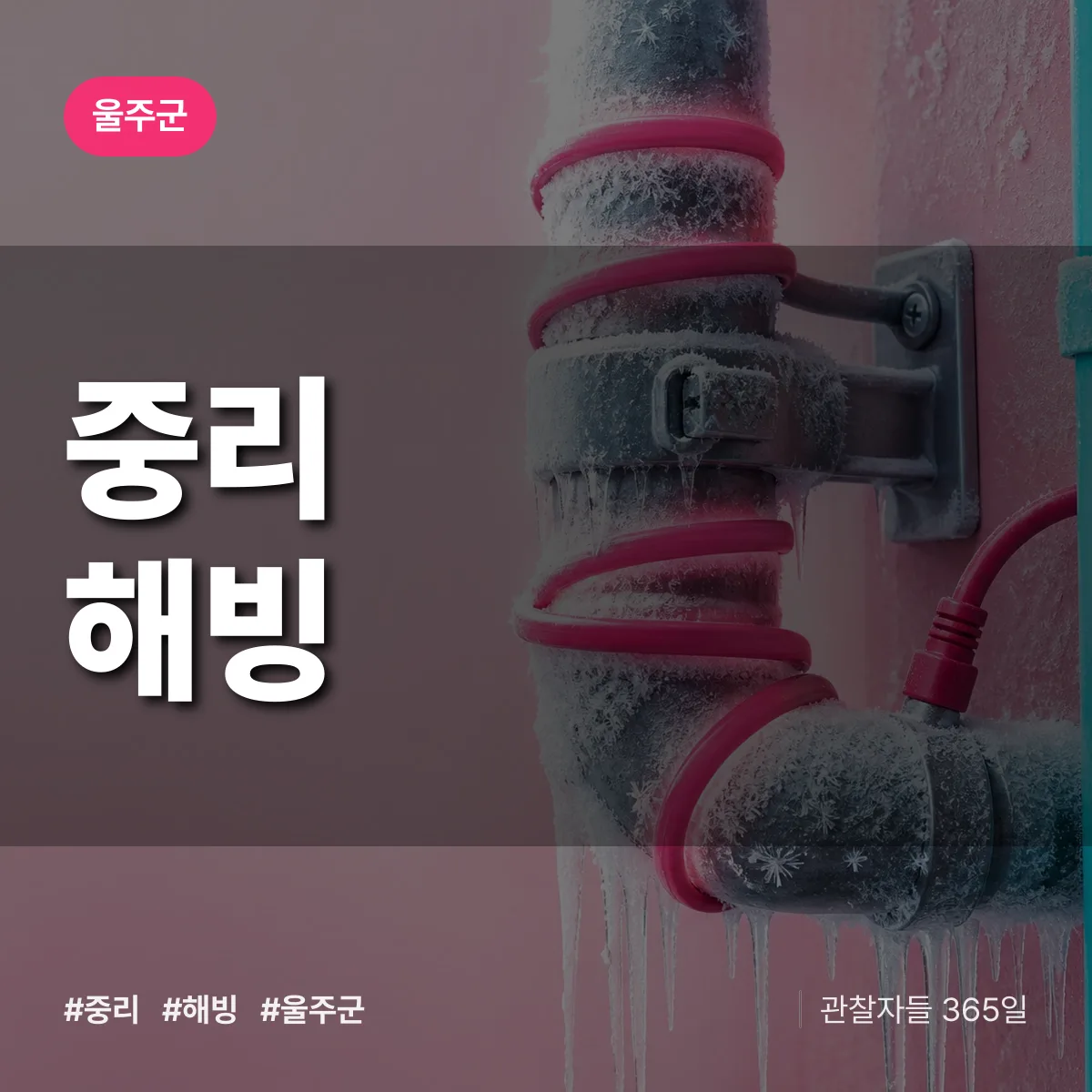중리 해빙 배너