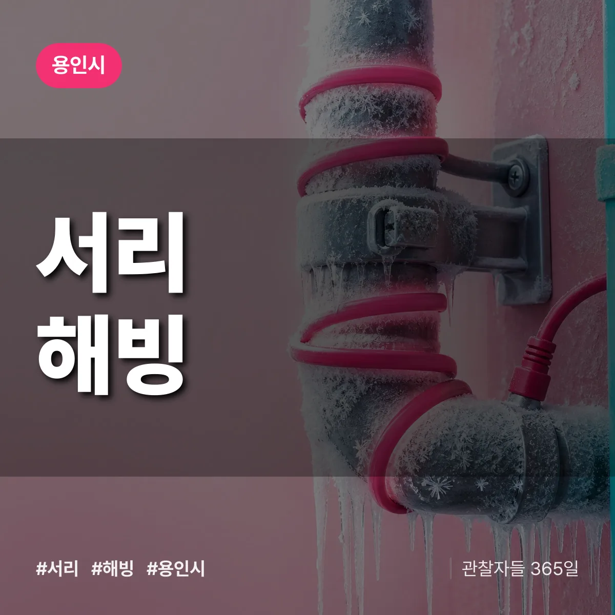 서리 해빙 배너
