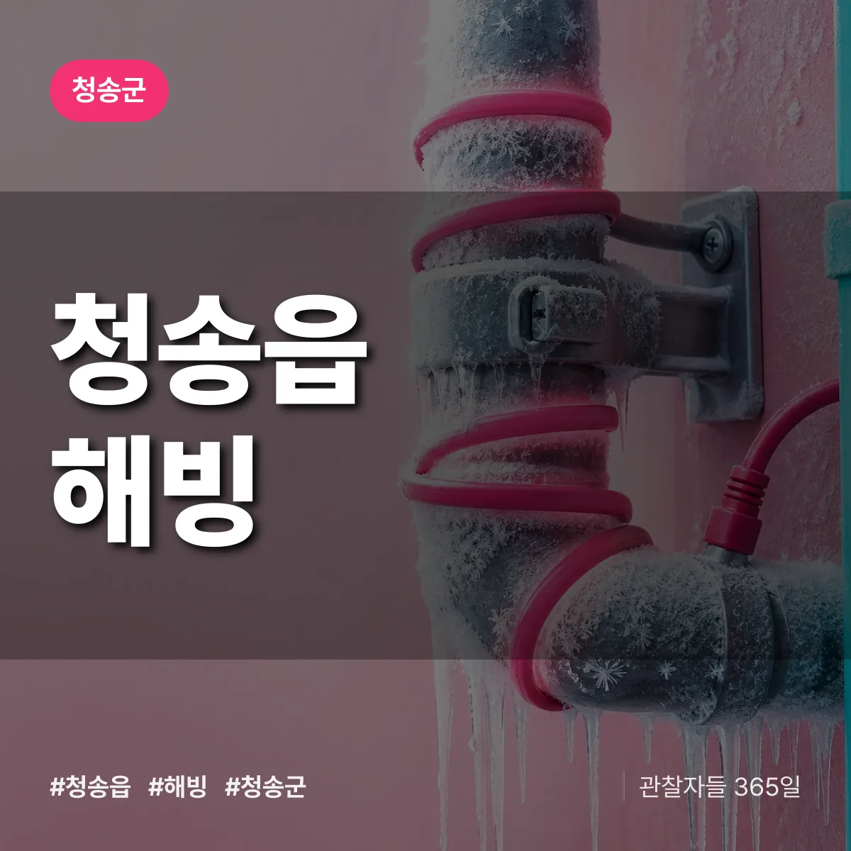 청송읍 해빙 배너