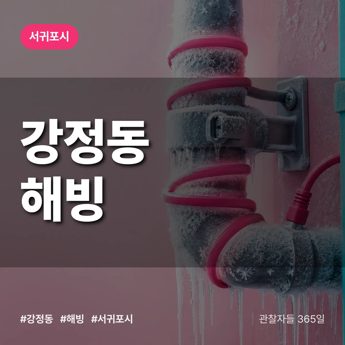 강정동 해빙 배너