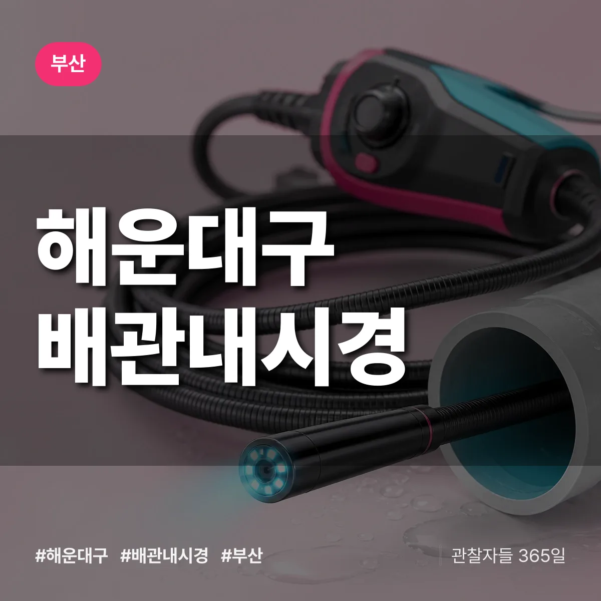 부산 해운대구 배관내시경 상담 배너